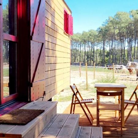 Roulottes Cocooning Au Coeur Des Landes Hotel Mees Ngoại thất bức ảnh