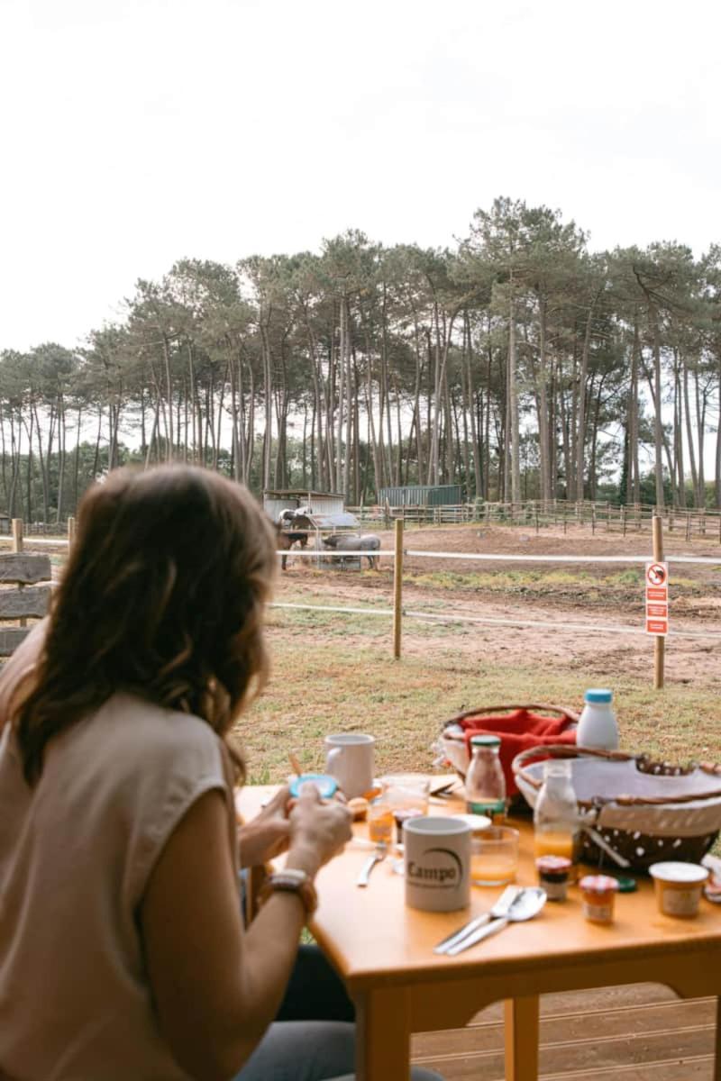 Roulottes Cocooning Au Coeur Des Landes Hotel Mees Ngoại thất bức ảnh