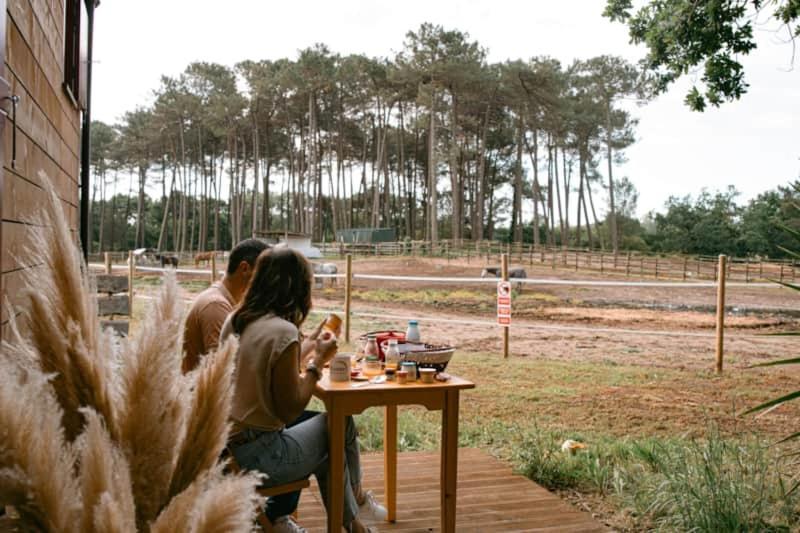 Roulottes Cocooning Au Coeur Des Landes Hotel Mees Ngoại thất bức ảnh